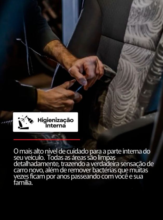 Higienização Interna